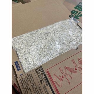 自家栽培　もち麦キラリモチ1.6kg(米/穀物)