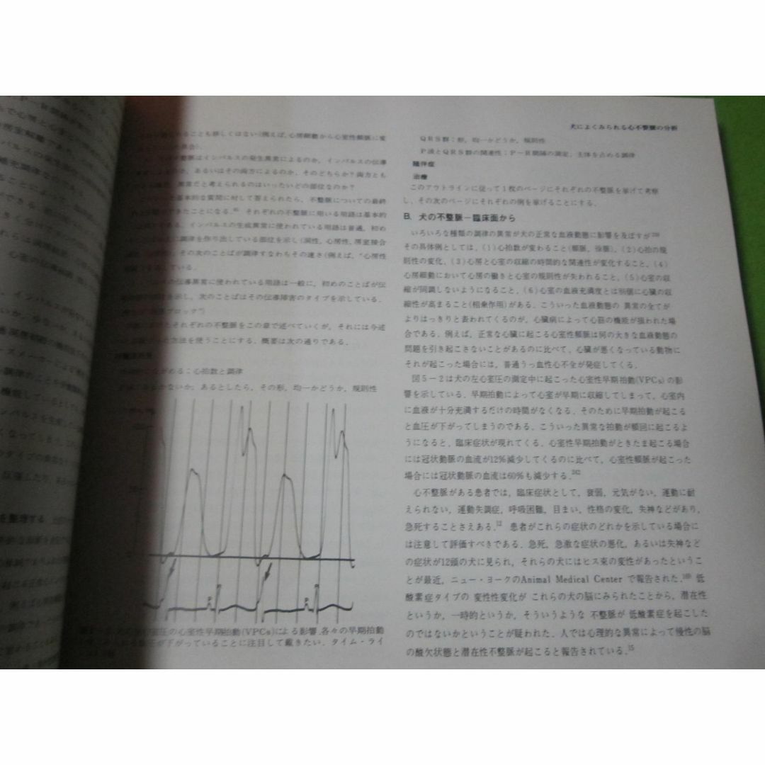 獣医学　獣医師　動物病院　犬猫の臨床心電図　 エンタメ/ホビーの本(健康/医学)の商品写真