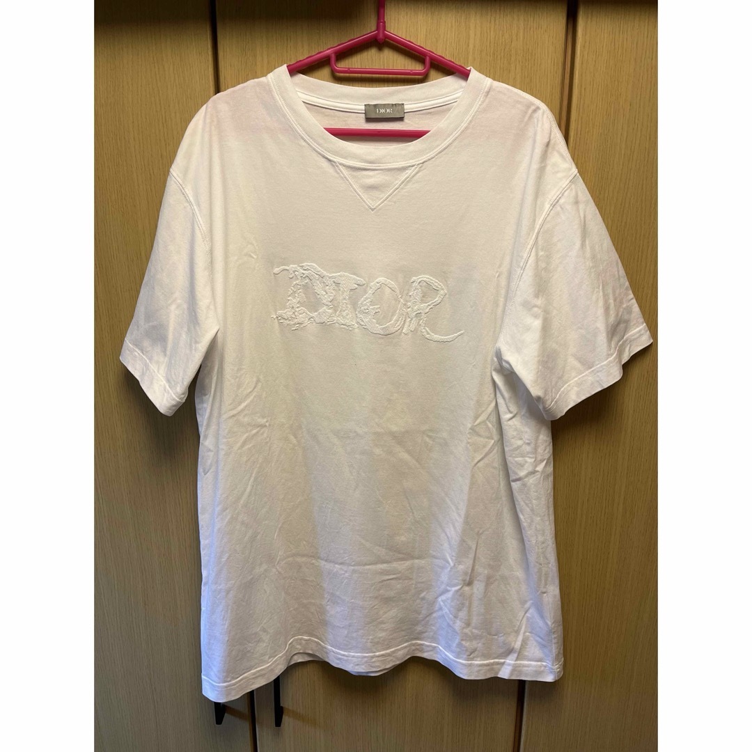 DIOR HOMME - 正規 21SS DIOR × PETER DOIG ディオール ロゴ T DIOR HOMME - 正規 21SS DIOR × PETER DOIG ディオール ロゴ T