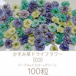 (03)かすみ草ドライフラワー100粒(ドライフラワー)