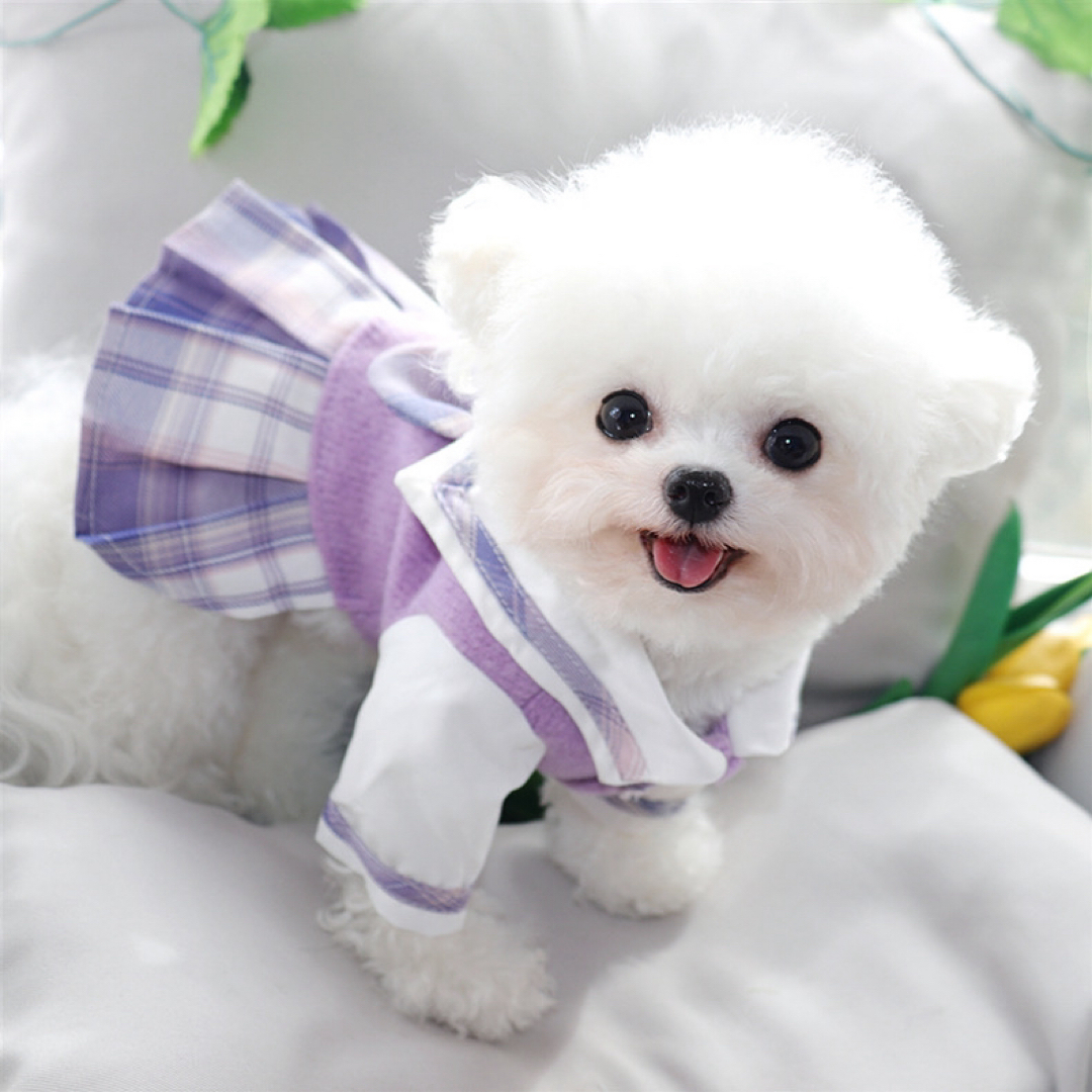 【新品】可愛い♡うさ耳セーラーワンピース　犬服　ドッグウェア　制服 S M L その他のペット用品(犬)の商品写真