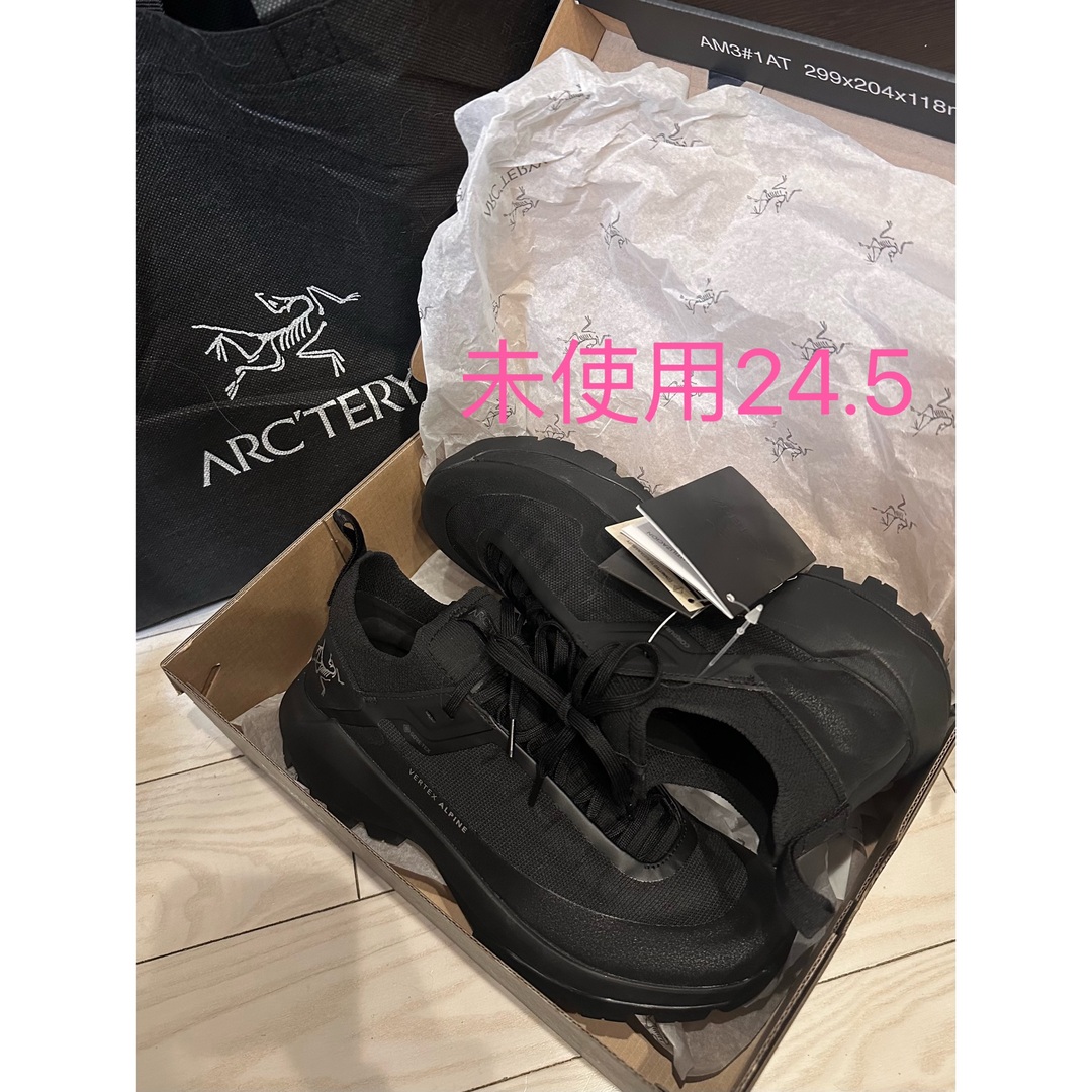 ARC'TERYX - アークテリクスバーテックス アルパイン ゴアテック ARC'TERYX - アークテリクスバーテックス アルパイン ゴアテック