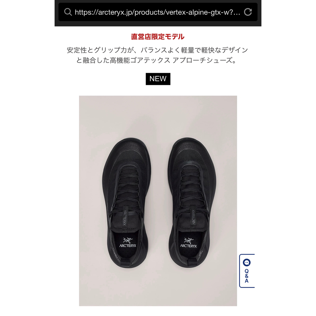 ARC'TERYX - アークテリクスバーテックス アルパイン ゴアテック ARC'TERYX - アークテリクスバーテックス アルパイン ゴアテック