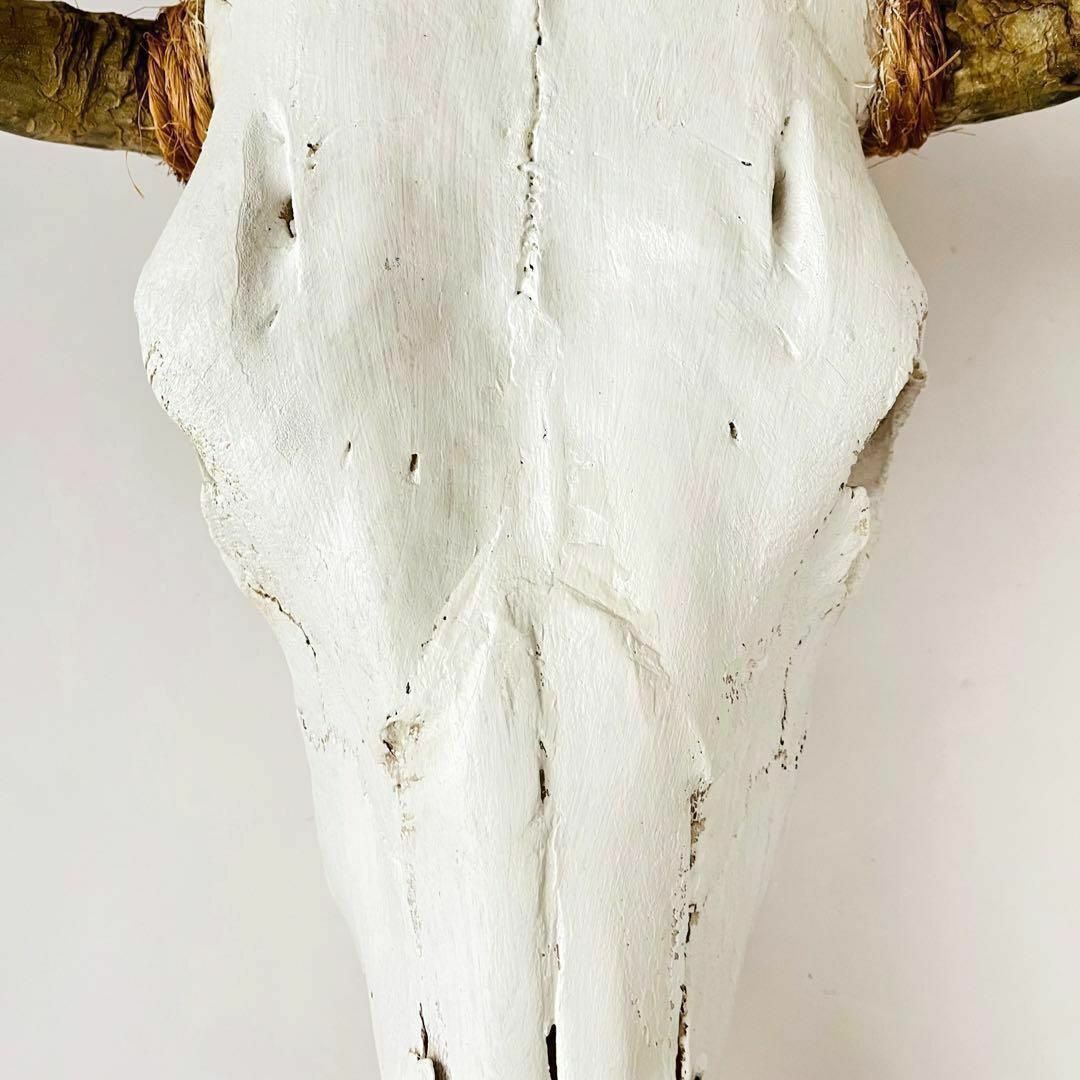 INDIAN JEWELRY(インディアンジュエリー)のバッファロースカルマスク ショートホーン カウスカル ナバホ インディアン 装飾 エンタメ/ホビーの美術品/アンティーク(彫刻/オブジェ)の商品写真