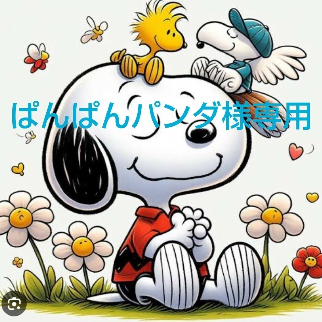 SNOOPY(スヌーピー)のぱんぱんパンダ様専用 エンタメ/ホビーのおもちゃ/ぬいぐるみ(キャラクターグッズ)の商品写真