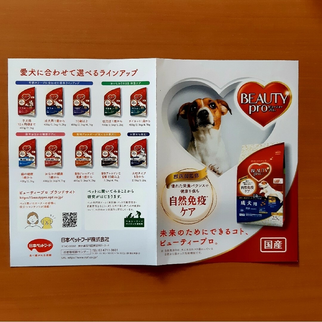 日本ペットフード(ニホンペットフード)の日本ペットフード ビューティープロ成犬用 40g ×2袋 その他のペット用品(ペットフード)の商品写真