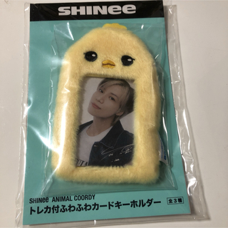 シャイニー(SHINee)のSHINee トレカ付き　ふわふわ　カードキーホルダー　テミン(K-POP/アジア)