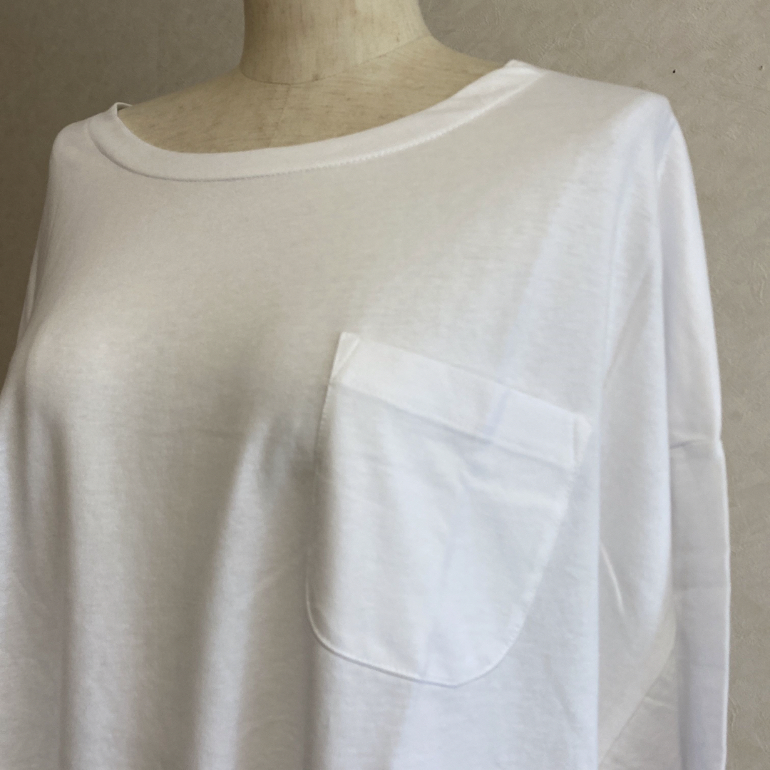 KN2322 ＊5L 大きいサイズ　USAコットンTシャツ　裾ラウンド　 レディースのトップス(Tシャツ(半袖/袖なし))の商品写真