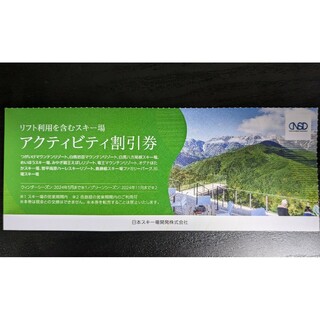 日本スキー場開発日本駐車場開発株主優待券(その他)