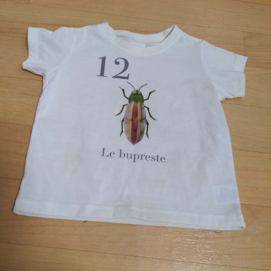 INSECT　COLLECTION(インセクトコレクション)のNo.12インセクトコレクション　タマムシ　Mサイズ キッズ/ベビー/マタニティのキッズ服男の子用(90cm~)(Tシャツ/カットソー)の商品写真