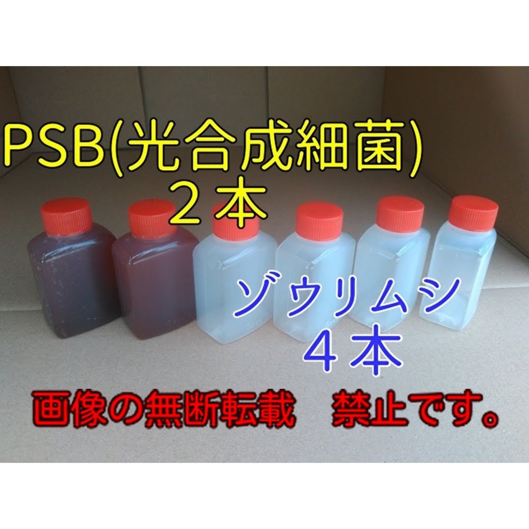 めだかの餌(２種類)　３３ml ×６本　#PSB　 #めだか#ミジンコ#針子#餌 その他のペット用品(ペットフード)の商品写真