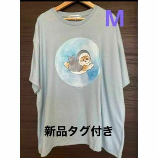 モフサンド限定品✨サメにゃんＴシャツ✨M✨mofusand