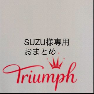 トリンプ(Triumph)の【新品タグ付】triumph天使のブラ・スリムラインE80（定価¥6,490）(ブラ)