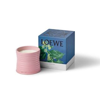 LOEWE - LOEWE アイビー キャンドル スモール