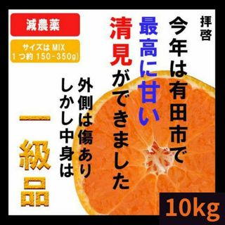 10kg【産地直送】高いコスパ！数量限定！甘い 清見 きよみ 有田みかん(フルーツ)