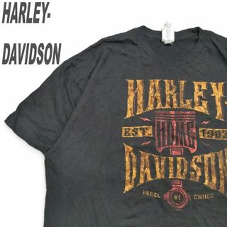 ハーレーダビッドソン(Harley Davidson)のハーレーダビッドソン Tシャツ 2XL ブラック ビッグプリント 薄手 希少(Tシャツ/カットソー(半袖/袖なし))