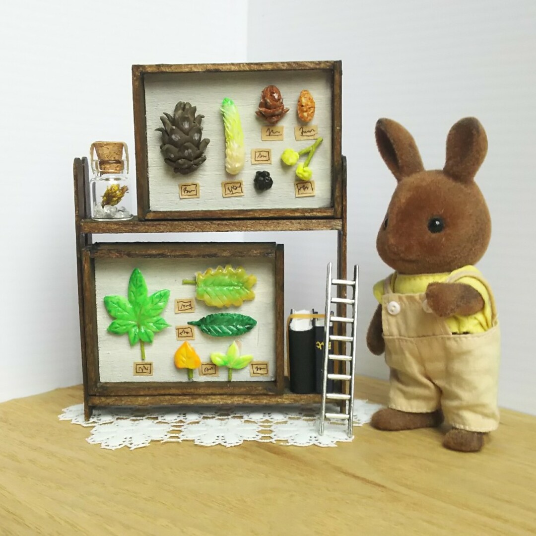 ミニチュア☆色々な松ぼっくりと葉っぱ☆第三標本室 ハンドメイドのおもちゃ(ミニチュア)の商品写真