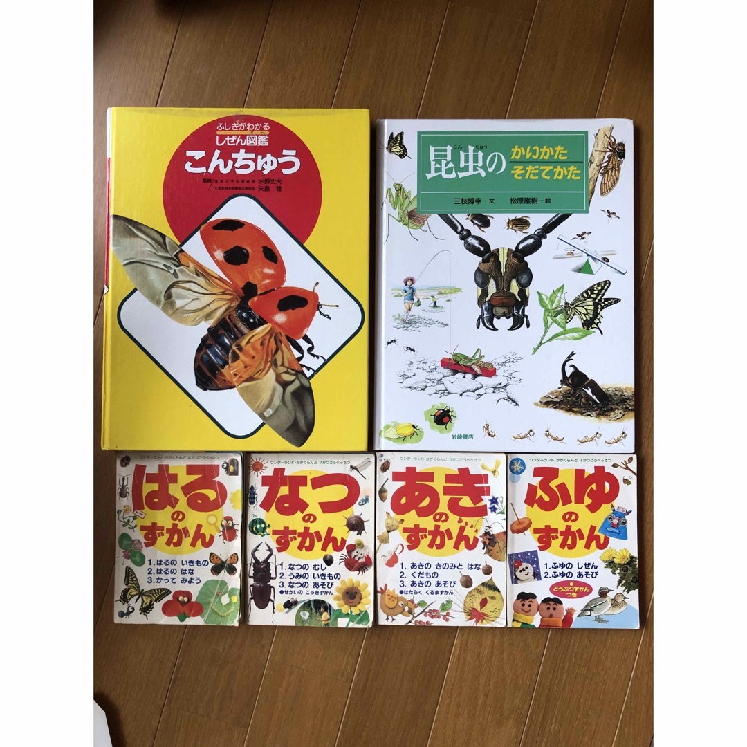 昆虫　図鑑　まとめ売り エンタメ/ホビーの本(絵本/児童書)の商品写真