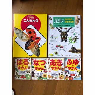 昆虫　図鑑　まとめ売り(絵本/児童書)