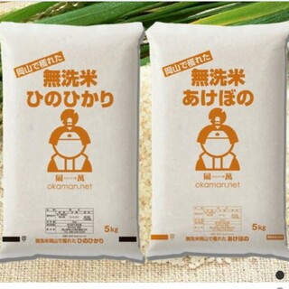 お米10kg 無洗米(米/穀物)
