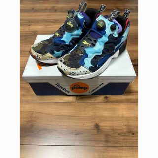 Reebok pump fury road cc