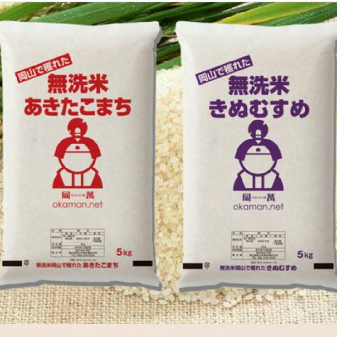 無洗米10kg 食品/飲料/酒の食品(米/穀物)の商品写真