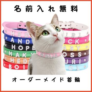 首輪　名前入れ無料　オーダーメイド　犬　猫　ペット(猫)