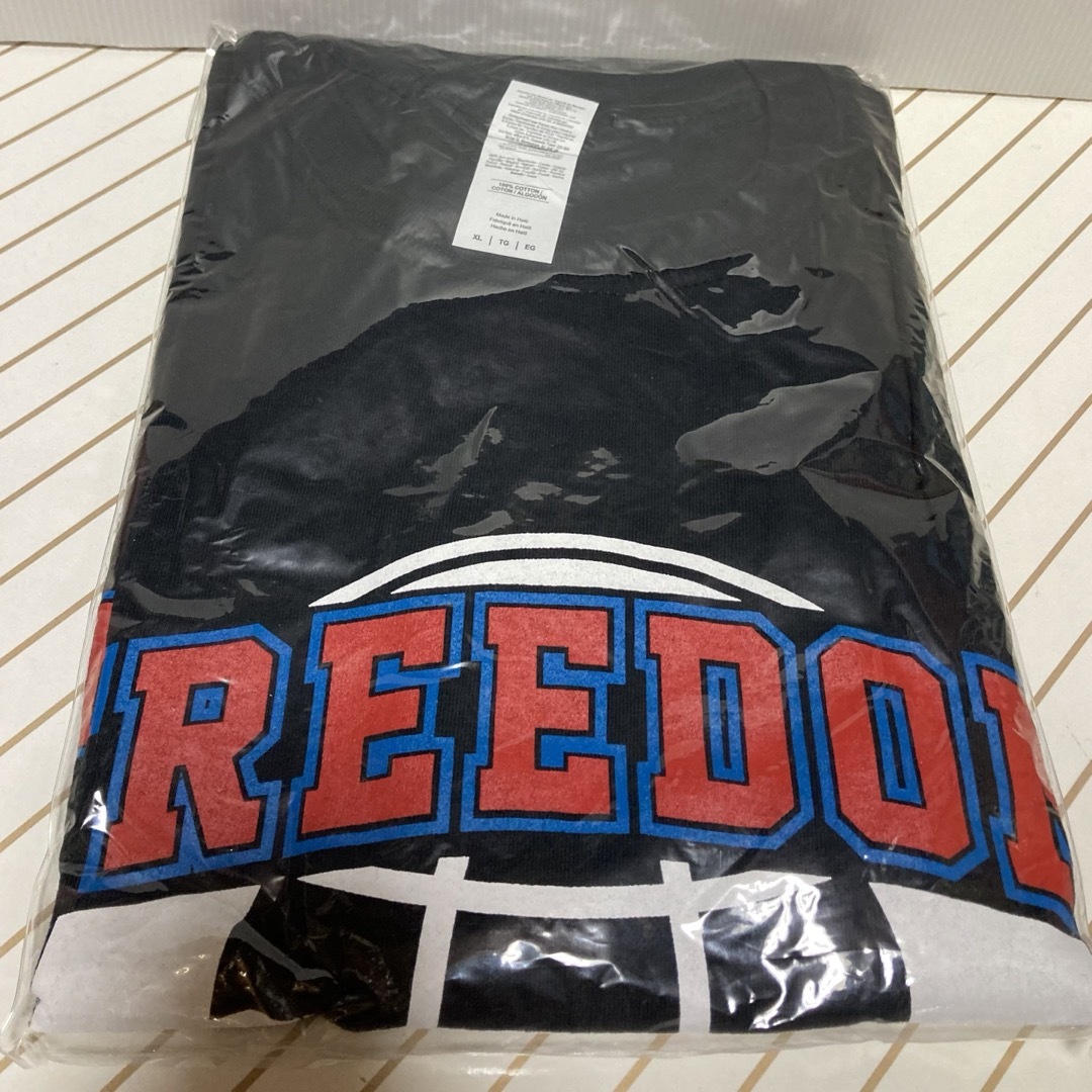 FREEDOM NAGOYA  Ｔシャツ エンタメ/ホビーのタレントグッズ(ミュージシャン)の商品写真