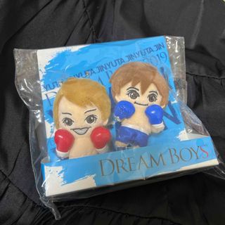 ジャニーズ(Johnny's)のDREAM BOYS ドリボ 2019 ぬいぐるみ(アイドルグッズ)