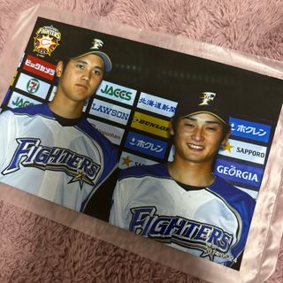 ホッカイドウニホンハムファイターズ(北海道日本ハムファイターズ)の北海道日本ハムファイターズ　公式　大谷翔平　中村勝　ハイライトフォト(スポーツ選手)