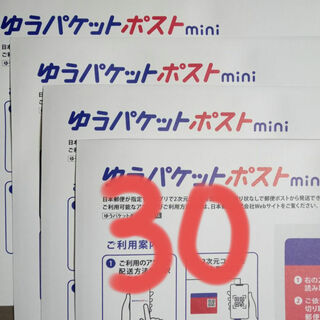 30枚　ゆうパケットポストmini　専用 封筒(印刷物)