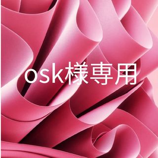 osk様専用(その他)