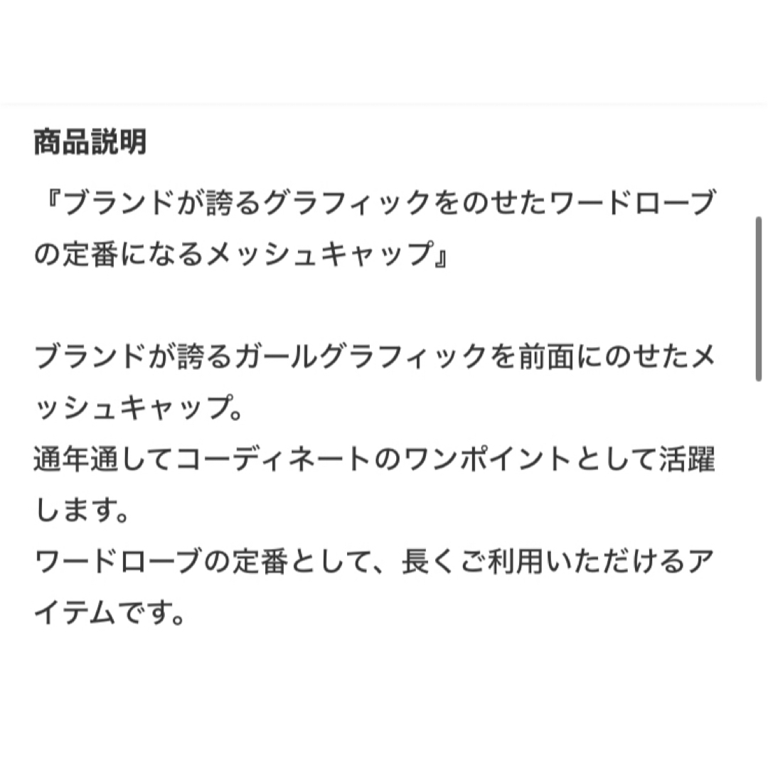 HYSTERIC GLAMOUR(ヒステリックグラマー)の【人気】HYSTERIC GLAMOUR　ヒステリックグラマー　メッシュキャップ メンズの帽子(キャップ)の商品写真