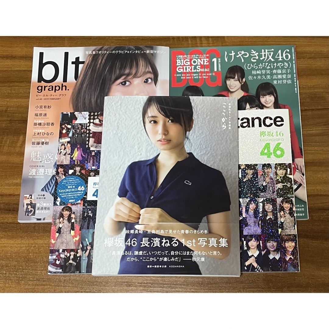 欅坂46(けやき坂46)(ケヤキザカフォーティーシックス)の欅坂46 雑誌まとめ売り（写真集あり） エンタメ/ホビーの雑誌(その他)の商品写真