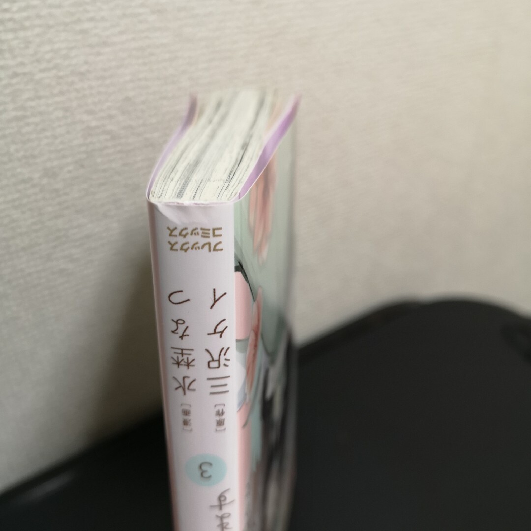 「きみを愛する気はない」と言った次期公爵様がなぜか溺愛してきます エンタメ/ホビーの漫画(その他)の商品写真