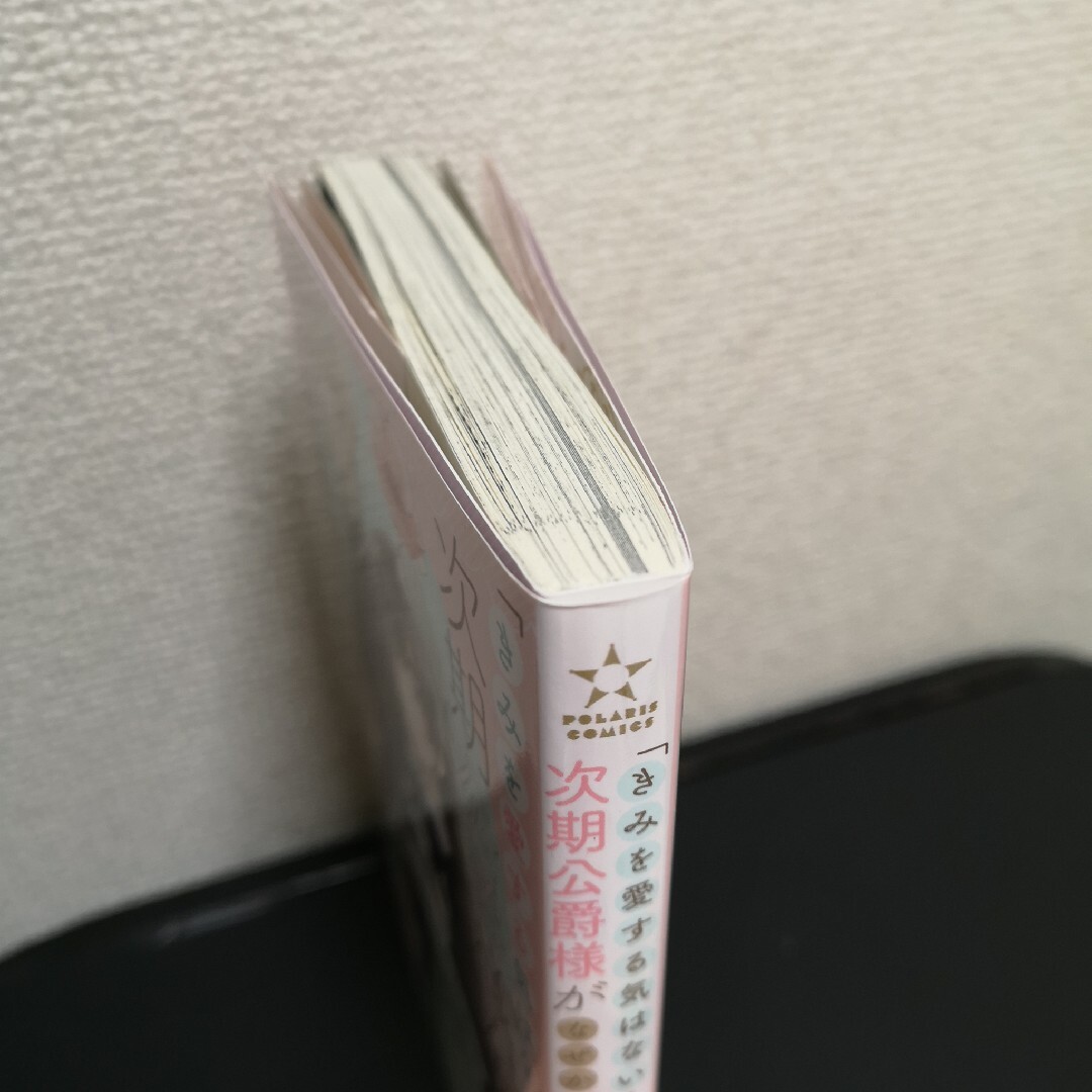 「きみを愛する気はない」と言った次期公爵様がなぜか溺愛してきます エンタメ/ホビーの漫画(その他)の商品写真