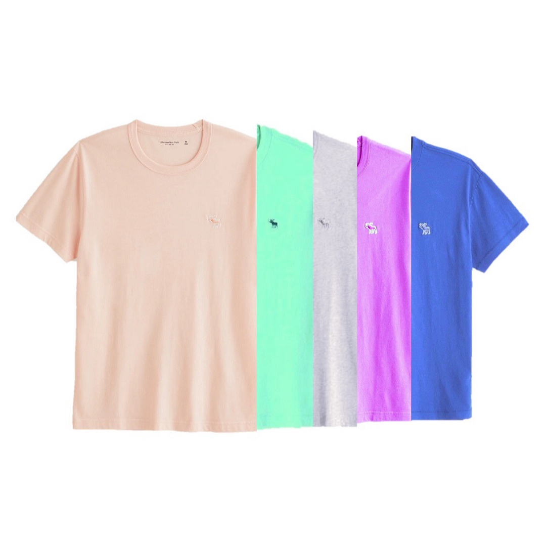 Abercrombie&Fitch(アバクロンビーアンドフィッチ)のLサイズ5枚SET アバクロ Abercrombie&Fitch半袖Tシャツ メンズのトップス(Tシャツ/カットソー(半袖/袖なし))の商品写真