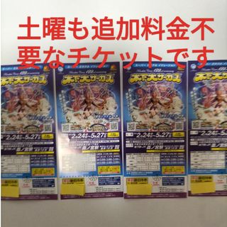 木下大サーカス　土曜　平日　追加料金不要　4枚(サーカス)