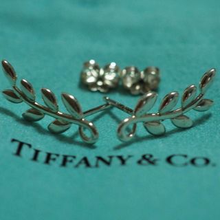 ティファニー(Tiffany & Co.)の【TIFFANY&CO.】パロマピカソ オリーブ リーフ クライマー ピアス(ピアス)