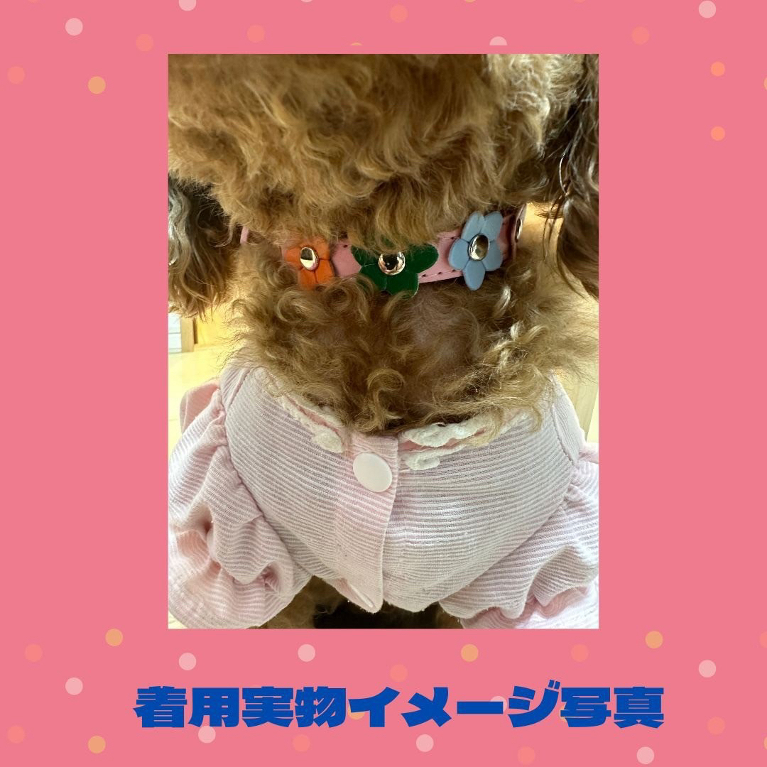 ★セール★ さくら模様 首輪 花 カラフル 可愛い 犬 猫 ローズ XSサイズ その他のペット用品(猫)の商品写真