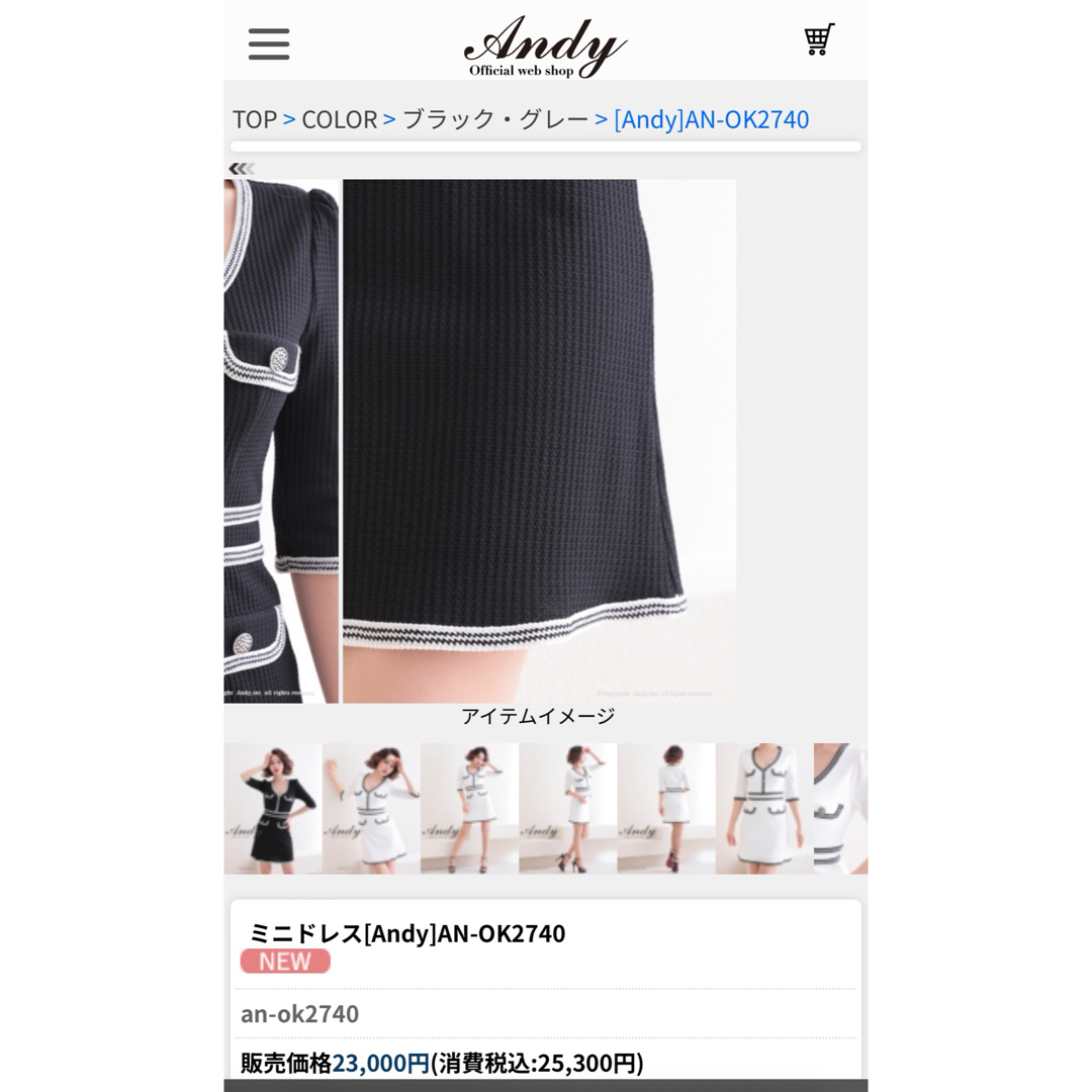 Andy(アンディ)のAndy  アンディ　ドレス レディースのフォーマル/ドレス(ナイトドレス)の商品写真