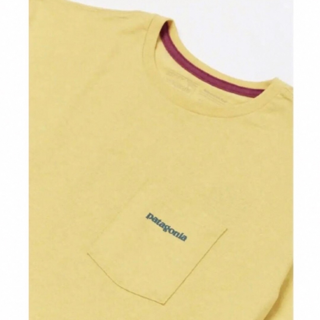 patagonia(パタゴニア)の⭐️レア⭐️patagonia ボードショーツロゴポケットレスポンシビリティー メンズのトップス(Tシャツ/カットソー(半袖/袖なし))の商品写真