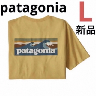 パタゴニア(patagonia)の⭐️レア⭐️patagonia ボードショーツロゴポケットレスポンシビリティー(Tシャツ/カットソー(半袖/袖なし))
