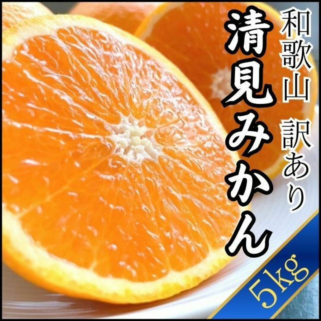 清見みかん 訳あり 5kg 和歌山県産 清見オレンジ 旬の果物 食品/飲料/酒の食品(フルーツ)の商品写真