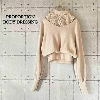 プロポーションボディドレッシング(PROPORTION BODY DRESSING)の254 プロポーションボディドレッシング レースドッキングニット トップス(ニット/セーター)