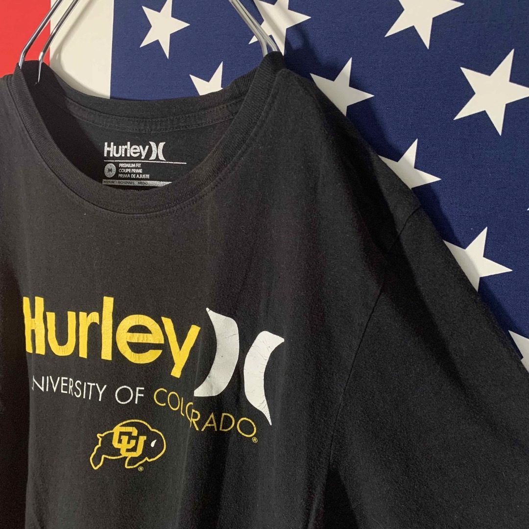 Hurley(ハーレー)の輸入古着 ハーレー Hurley 半袖Tシャツ M メンズのトップス(Tシャツ/カットソー(半袖/袖なし))の商品写真