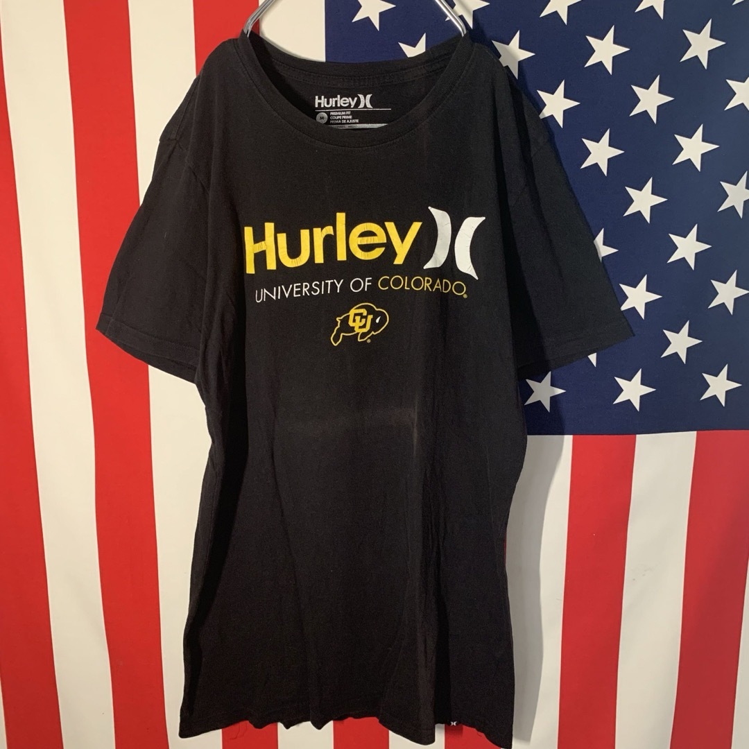 Hurley(ハーレー)の輸入古着 ハーレー Hurley 半袖Tシャツ M メンズのトップス(Tシャツ/カットソー(半袖/袖なし))の商品写真