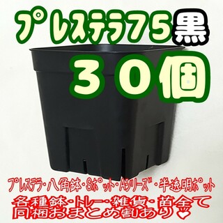 【スリット鉢】プレステラ75黒30個 多肉植物 プラ鉢(プランター)