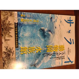 ショウガクカン(小学館)の雑誌サライ　最新号　2024年5月号(アート/エンタメ/ホビー)