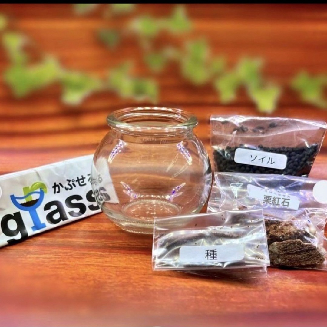 テラリウム　かぷせるglass   植物　置物　カプセルテラリウム　観葉植物 インテリア/住まい/日用品のインテリア小物(置物)の商品写真